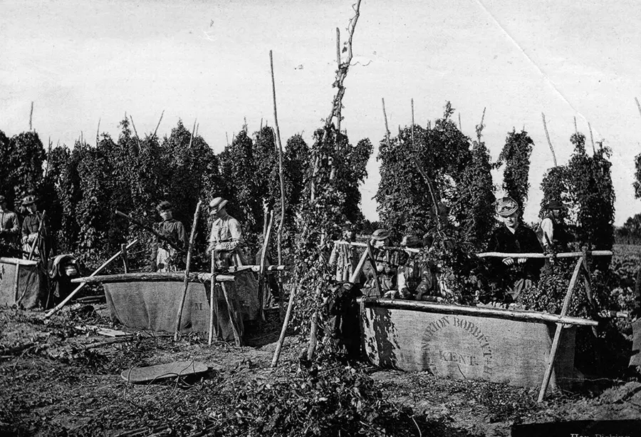 Hop pickers kent old photos