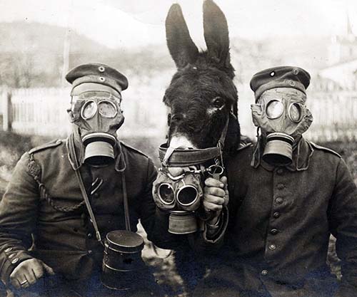 Two German soldiers and mule wearing gas masks, 1916 - Rare Historical Photos