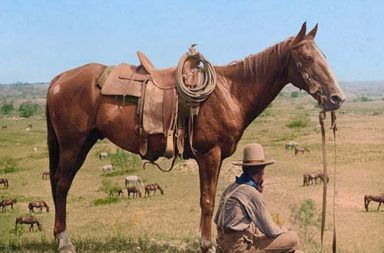 One of the last cowboys of the dying Old West chilling in Texas, 1910