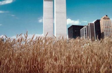 A wheatfield in the heart of Manhattan, 1982