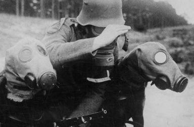 War dogs with gas masks, 1915-1970
