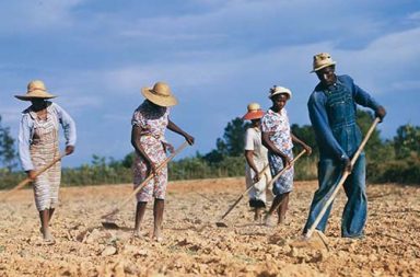 The Black sharecroppers of the American South, 1939-1941