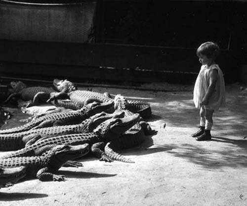 Inside California Alligator Farm where kids could ride and play with  alligators, 1920s - Rare Historical Photos