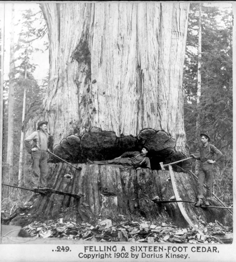 lumberjacks-vintage-photographs-18.webp