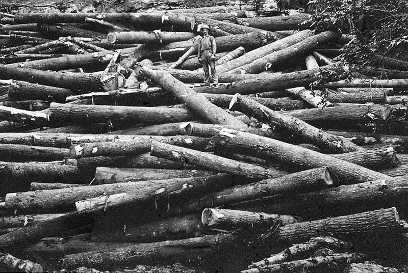 lumberjacks vintage photographs