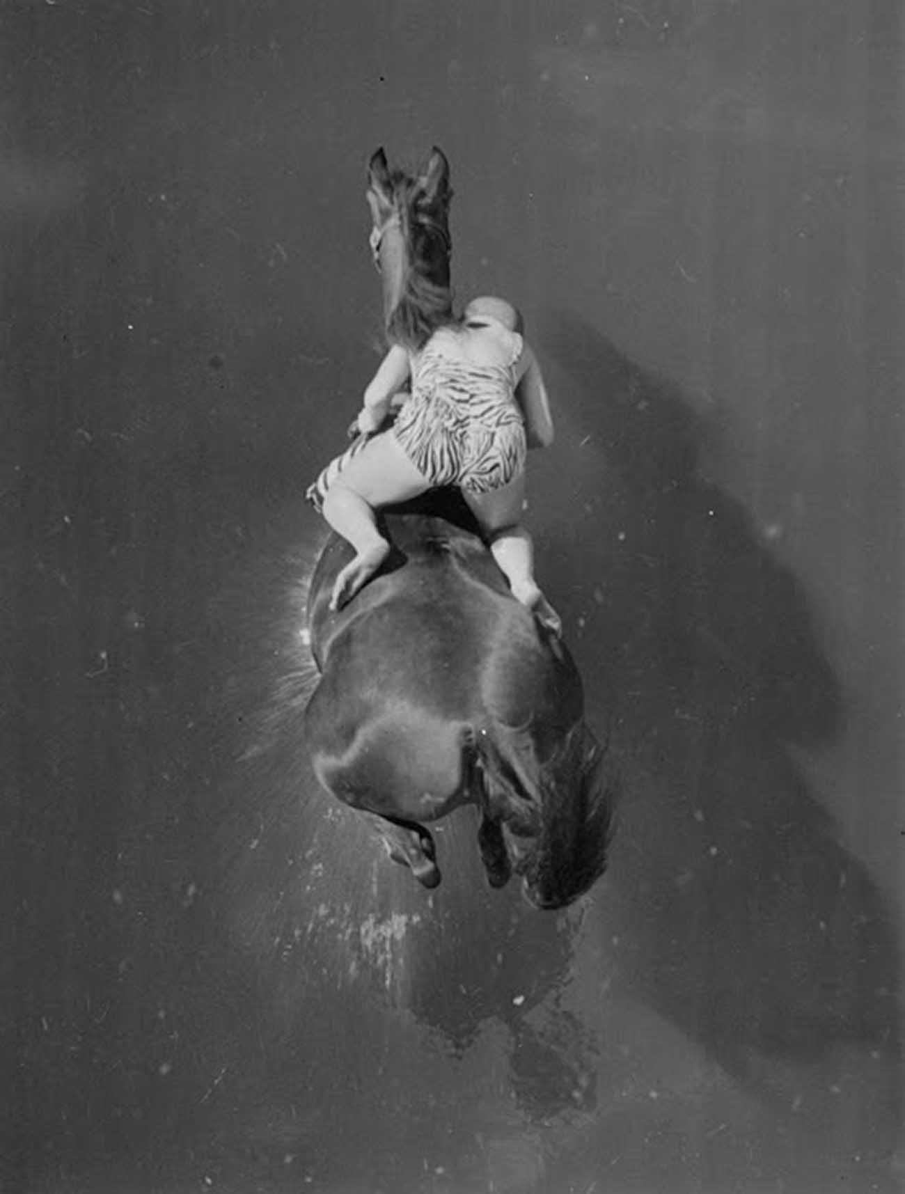 diving horse vintage photos