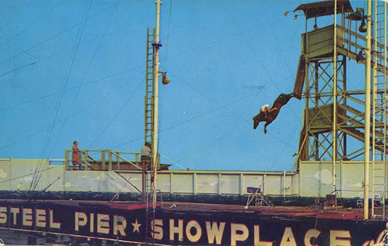 diving horse vintage photos