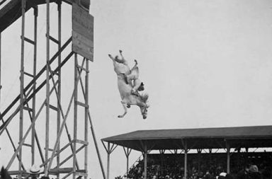 Diving Horse: Vintage photos from one of the most dangerous stunt shows ever performed, 1900-1970