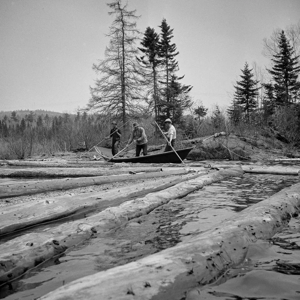 maine logging old photographs