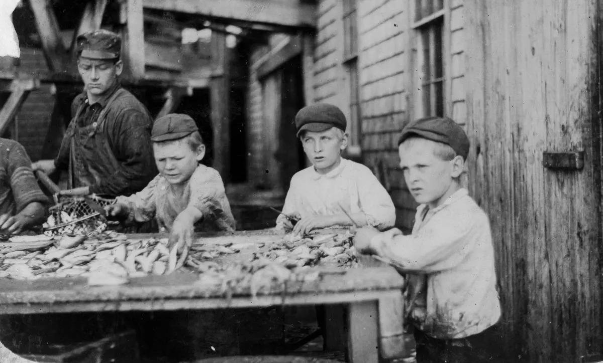 sardine canneries child workers