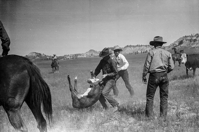 cowboy roundup montana photos