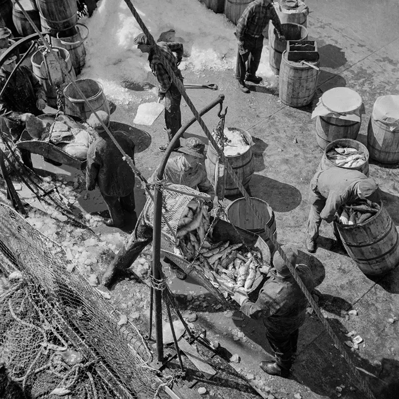 vintage fulton fish market manhattan