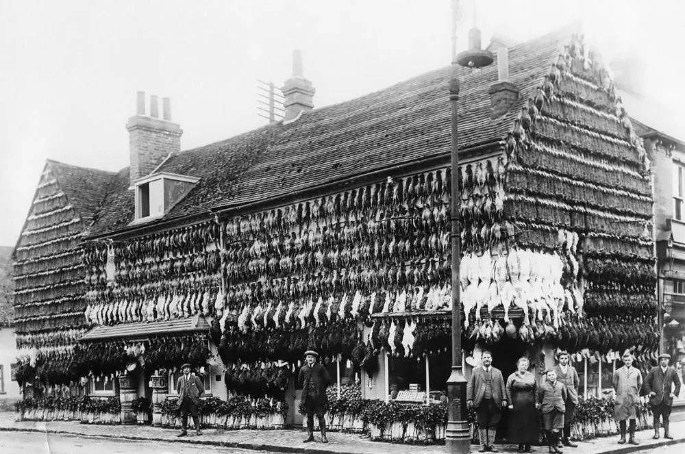 vintage photos butcher shops