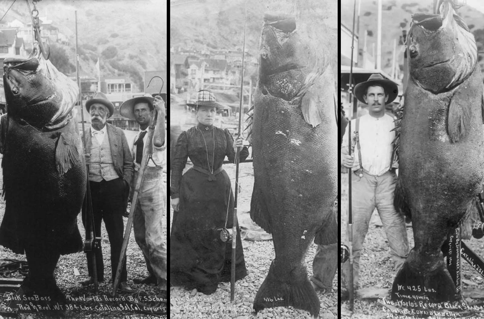 Big Catches of the Past: Fascinating Photos of Fishermen and Their Trophies
