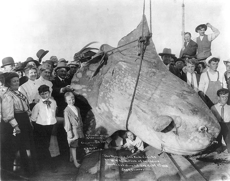 People Posing With Their Big Fishes in the Past