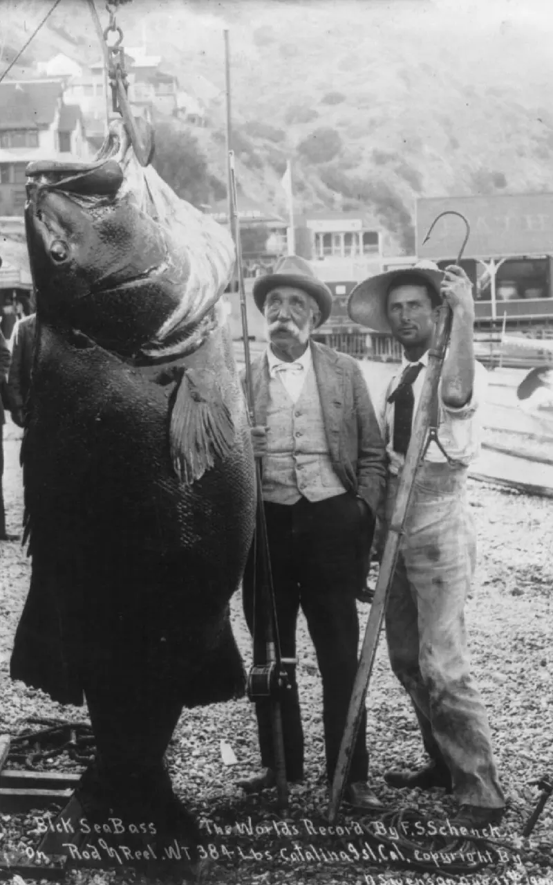 People Posing With Their Big Fishes in the Past