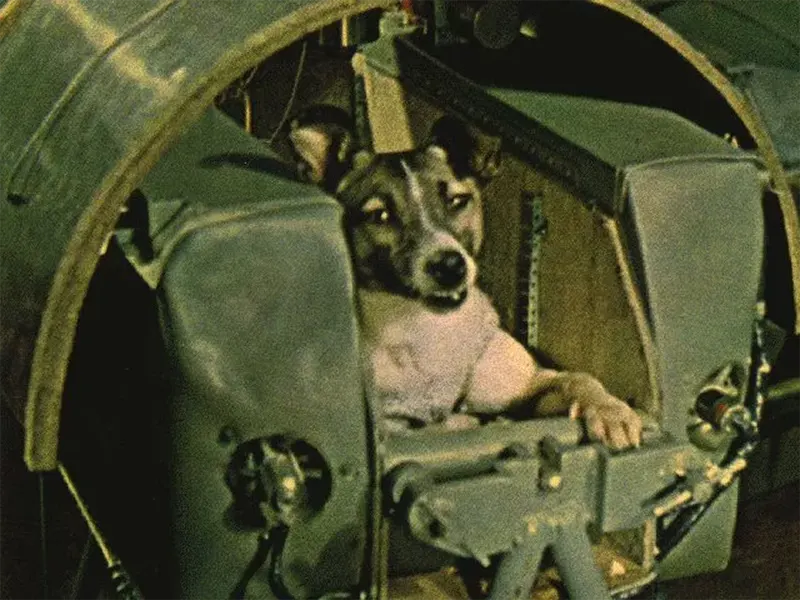 Laika, the first dog into space old photos