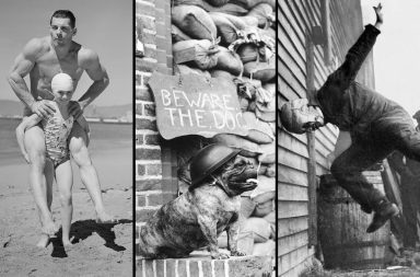 Bizarre Snippets: Weird Historical Photos with Interesting Backstories