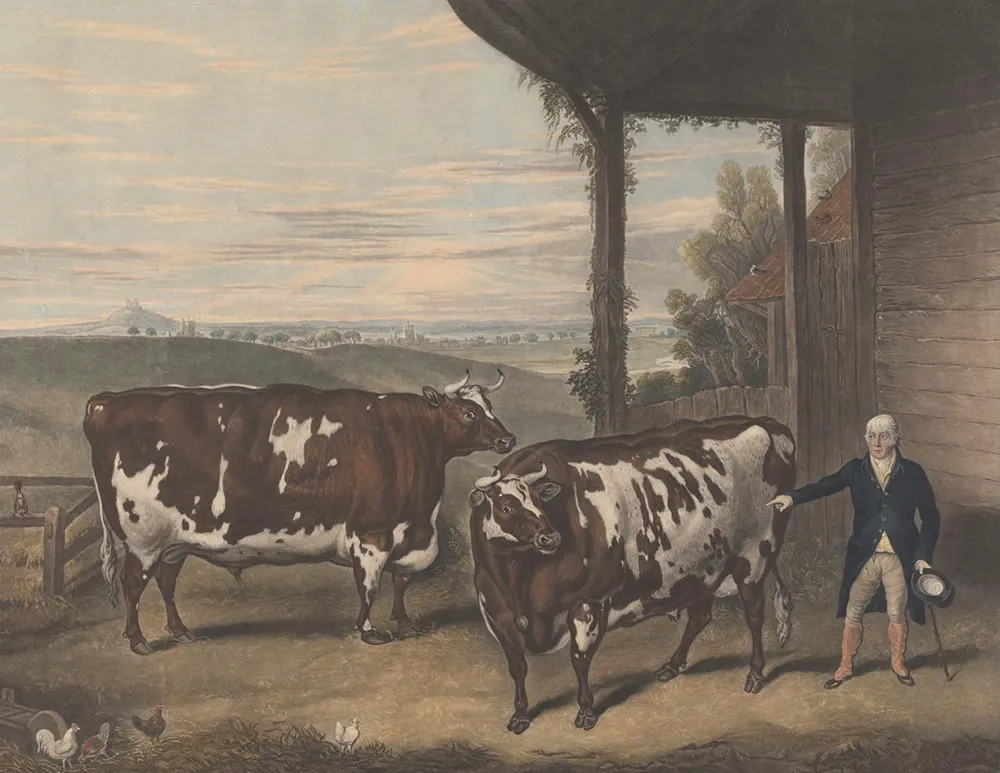 Rectangular Cows Paintings