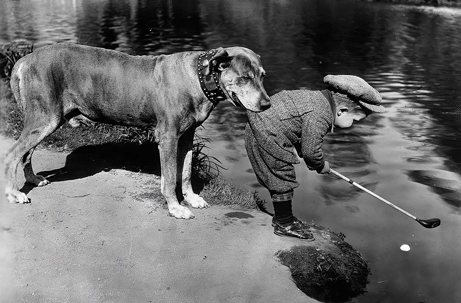 Vintage Snapshots of People and Their Beloved Pets from Bygone Times