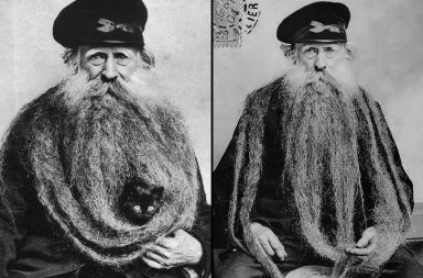Louis Coulon's Unique Portraits: Known for His 11-foot Beard, Which He Used as a Nest for His Beloved Cats