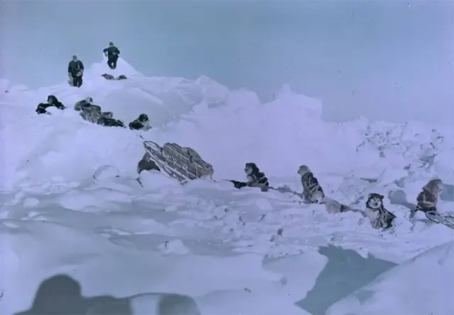 Early Expeditions to Antarctica Old Photos