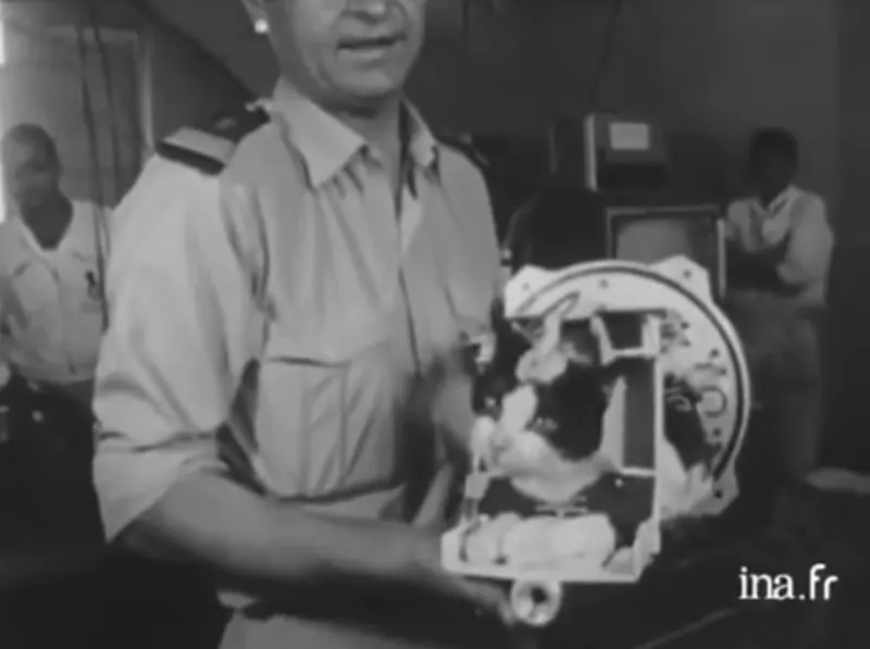 Astrocat Félicette in Photos