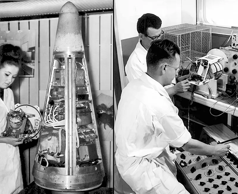 Astrocat Félicette in Photos