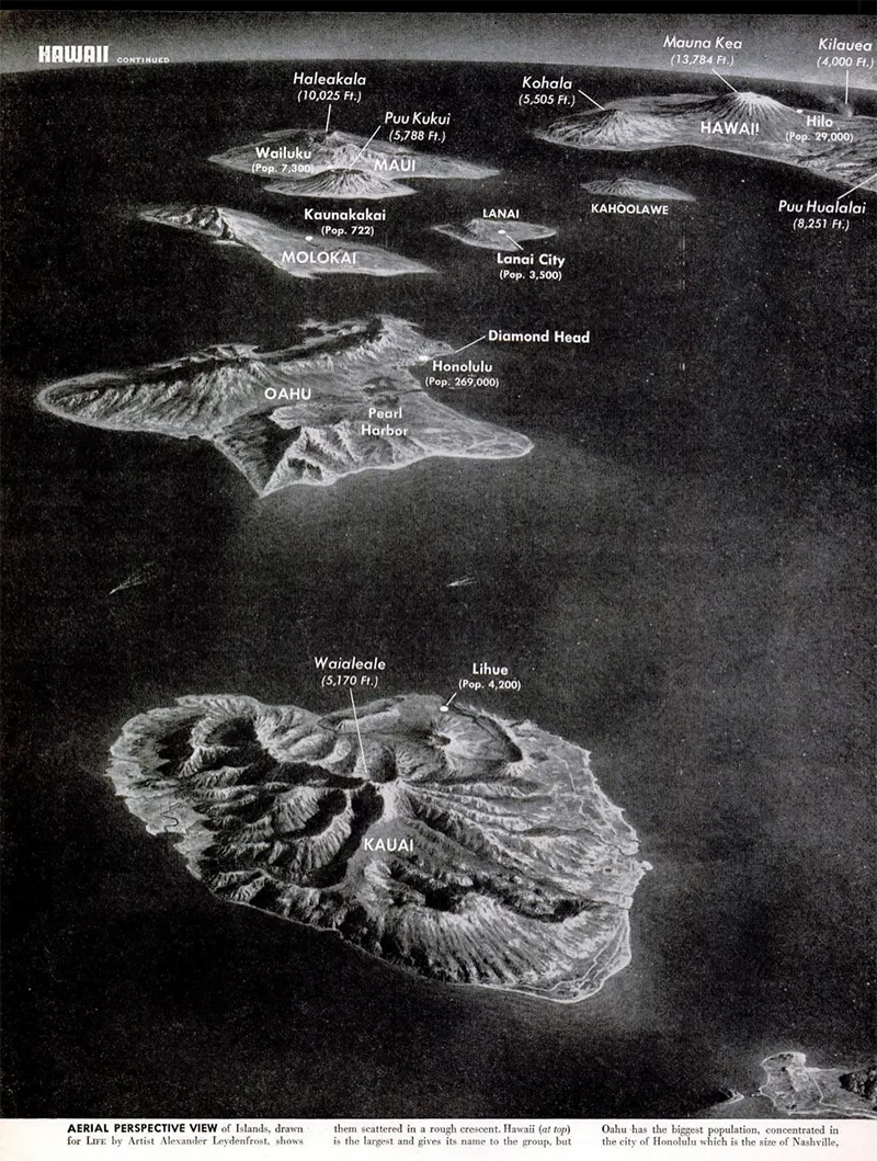 Night Fishing in Hawaii A Cool Photo from 1948