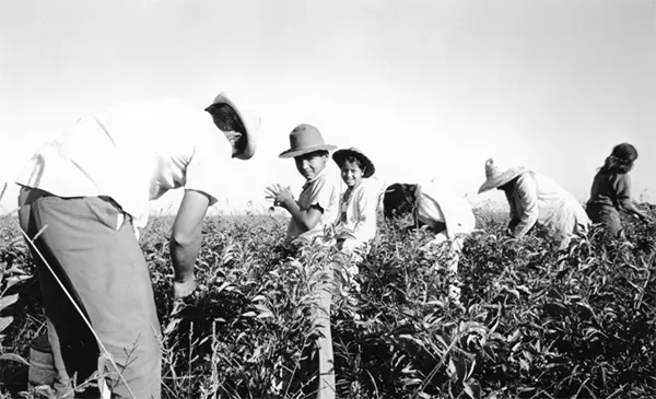 Immigration Raids Vintage Photos